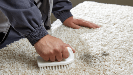 Professional Rug Cleaning Miners Rest